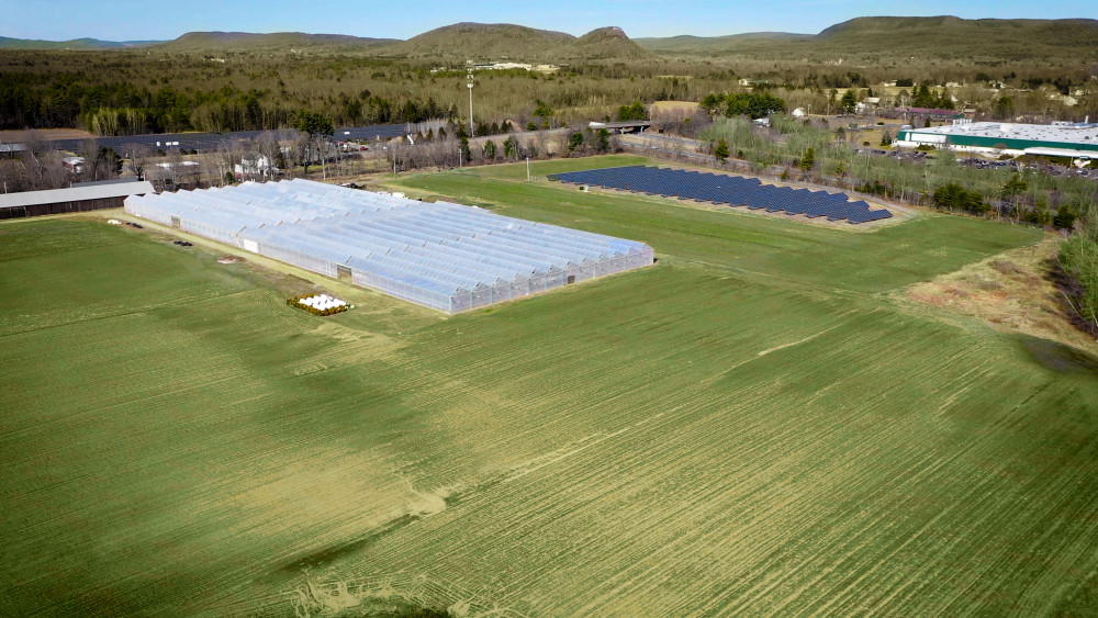 Cannabis Grow Opportunity | Fully Licensed up to 100K SF Canopy 